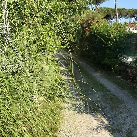 Ancora Bilocale Villa Marina di Massa Exterior photo