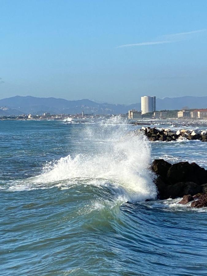 Ancora Bilocale Holiday home Marina di Massa