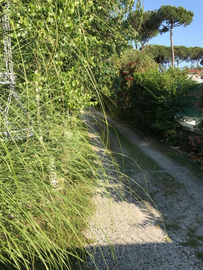 Ancora Bilocale Marina di Massa